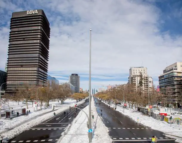 temporal nieve filomena daños madrid castellana limpia