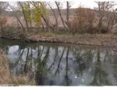 villamanrique de tajo sotos