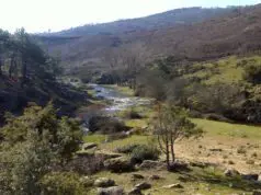 Río Cofio