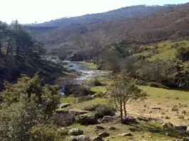 Río Cofio