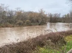 Desaparecido en San Fernando de Henares