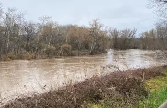 Desaparecido en San Fernando de Henares