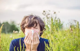 polen alergias red palinocam