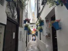 Calleja de las flores