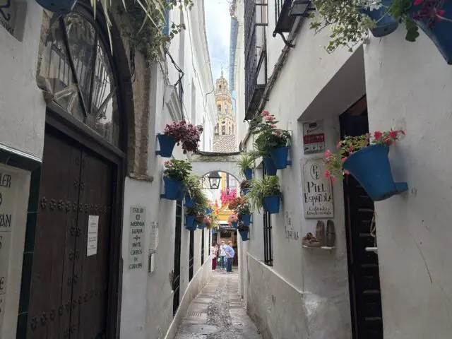 Calleja de las flores