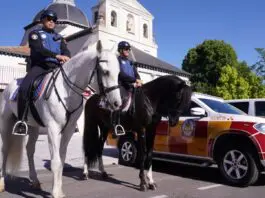 Cortes por San Isidro