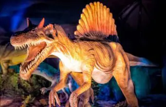 dino expo xxl exposicion dinosaurios replica