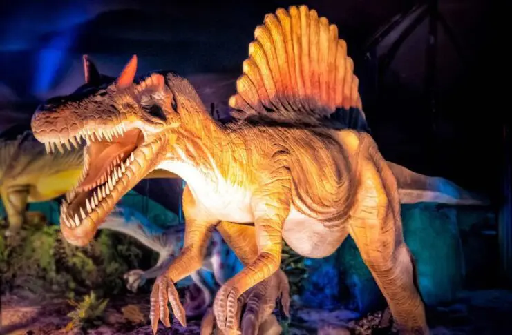 dino expo xxl exposicion dinosaurios replica
