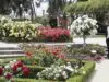 rosaleda parque oeste