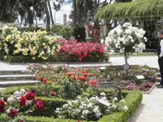 rosaleda parque oeste