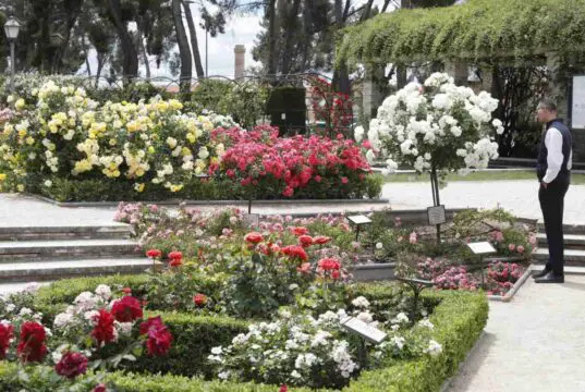 rosaleda parque oeste
