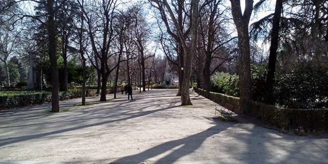 Plantaciones en Madrid