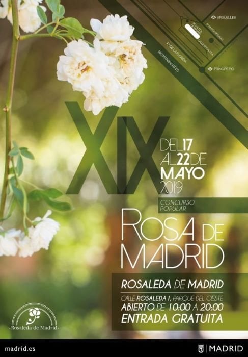 Rosa de madrid 2019