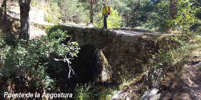 ruta de senderismo al tejo Barondillo lozoya Puente Angostura