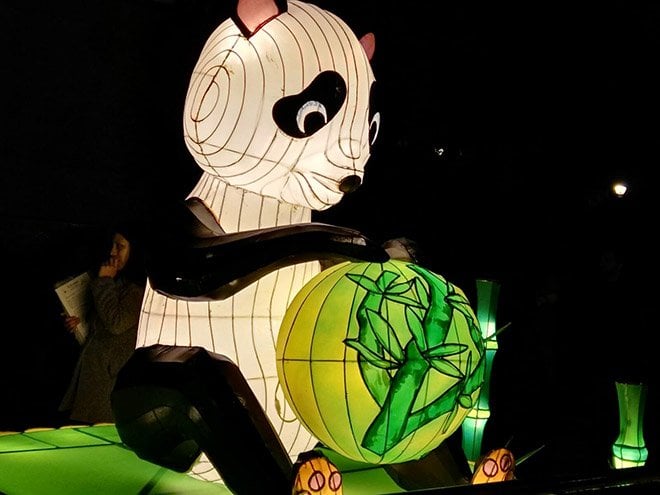 año nuevo chino oso panda