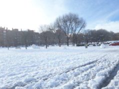 nieve en madrid parque