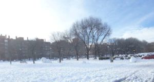 nieve en madrid parque