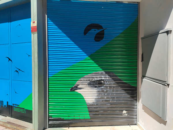 Vencejo común en mural fachada SEO BirdLife