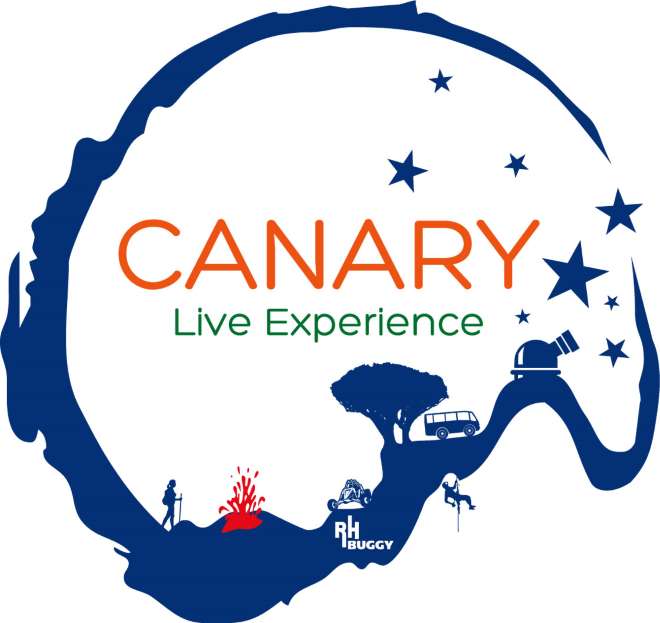 canary live experience
