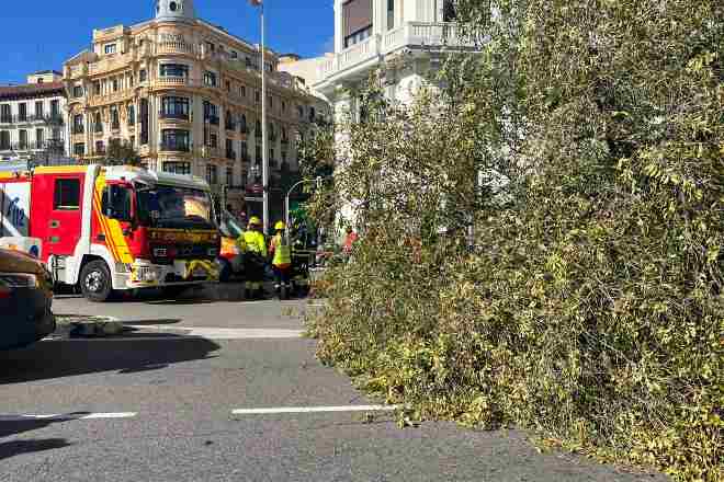 Caída árbol Madrid