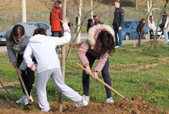 Plantación de árboles por el Día de la Paz en Fuenlabrada