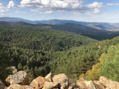 La ruta que te descubrirá las mejores vistas de la sierra madrileña ruta por el puerto de canencia