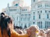 Vuelve la Fiesta de la Trashumancia de Madrid para celebrar su XXXIII edición Fiesta de la Trashumancia