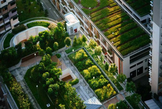 Plan Azoteas Verdes en Madrid
