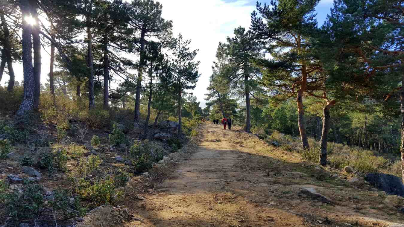 ruta cabeza reina panera camino