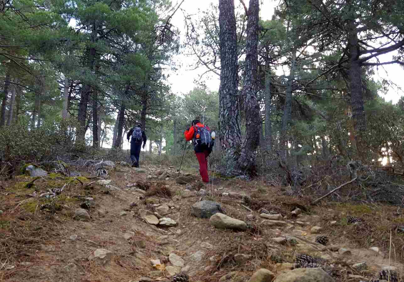 ruta cabeza reina panera senderistas