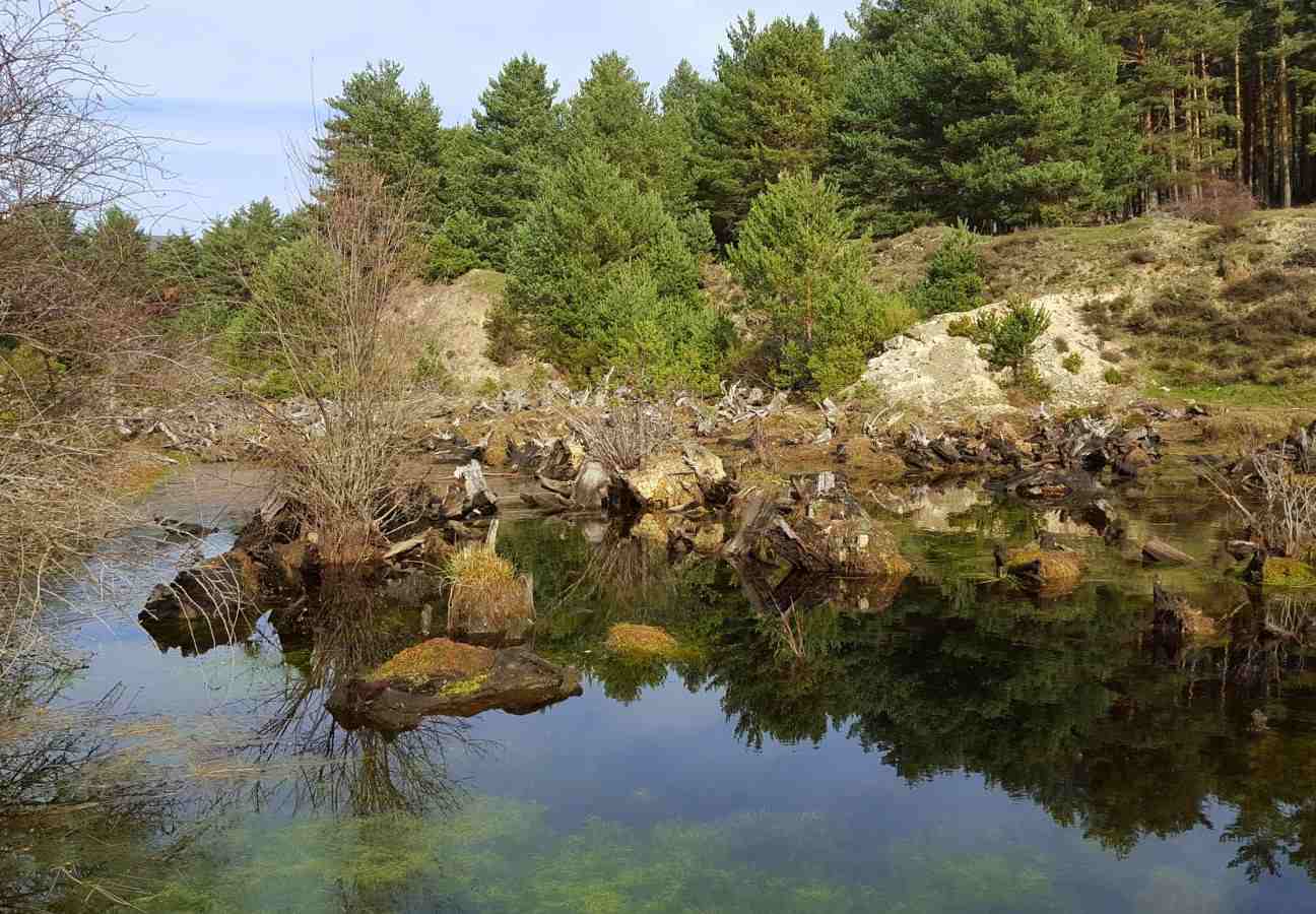 ruta cabeza reina panera