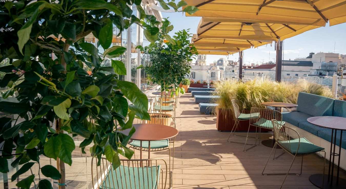 hotel oscar plaza pedro zerolo terraza